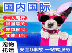 镶黄旗新宝拉格国际宠物托运 【国